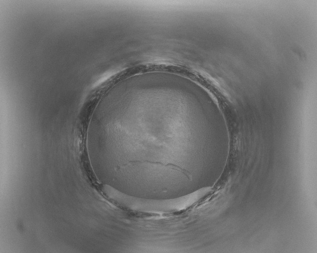 X0000116791303200912241154