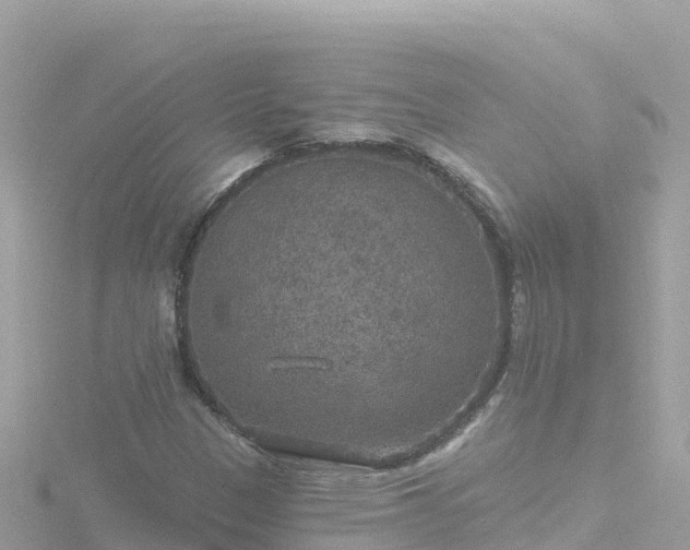 X0000116791305200912241154