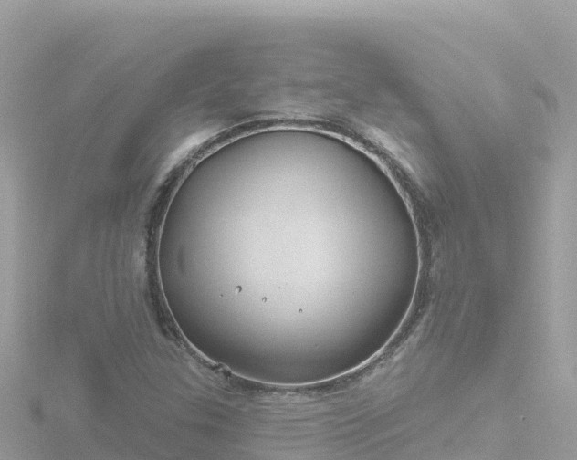 X0000116791307200912241154