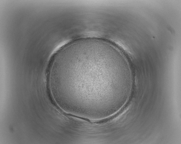 X0000116791309200912241154