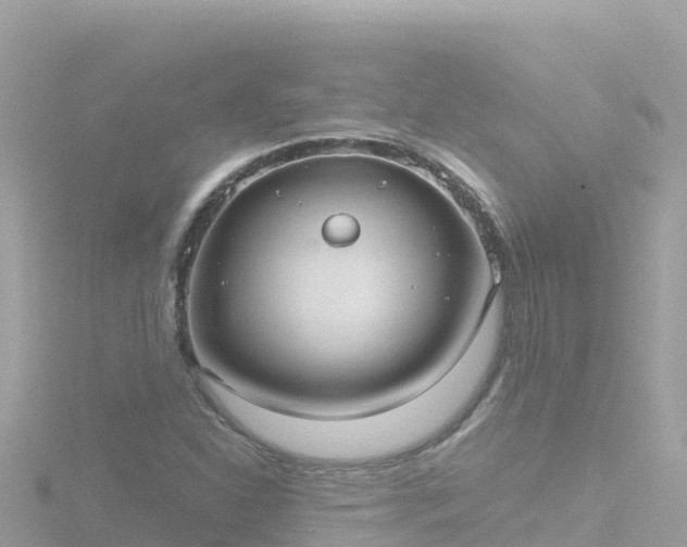 X0000116791310200912241154