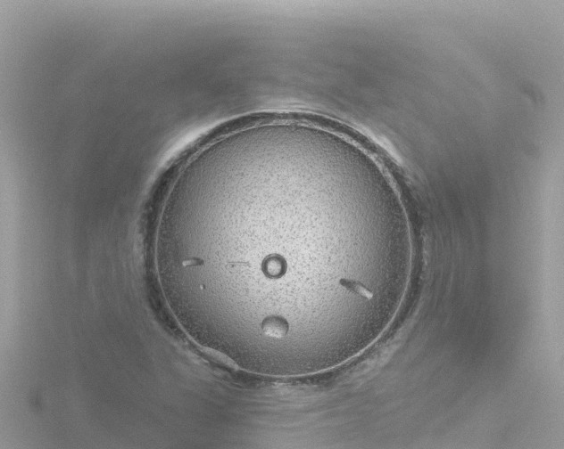 X0000116791311200912241154