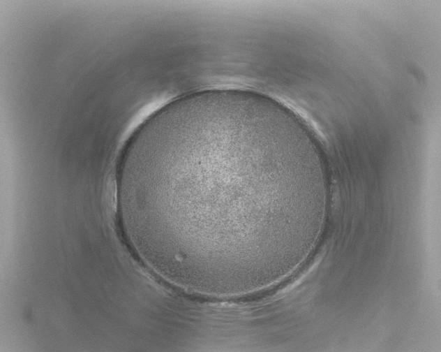 X0000116791317200912241154