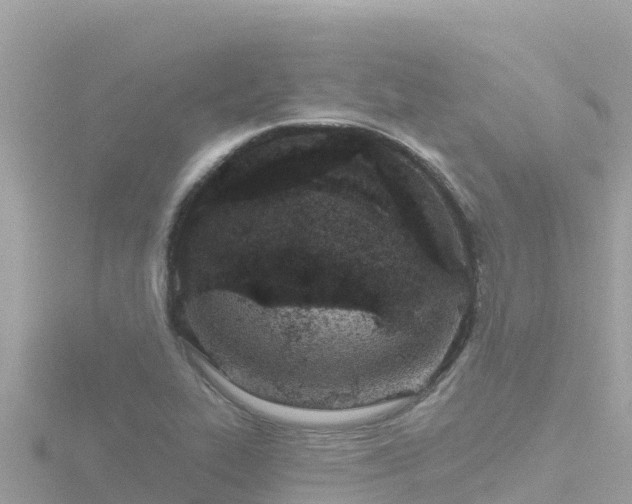 X0000116791319200912241154