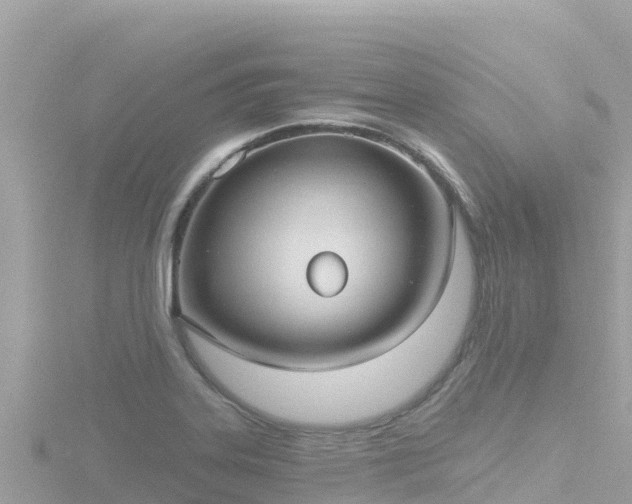 X0000116791323200912241154