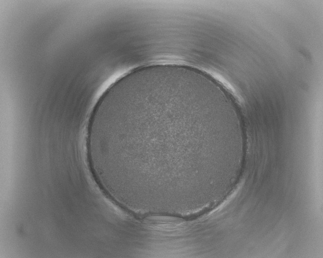 X0000116791325200912241154