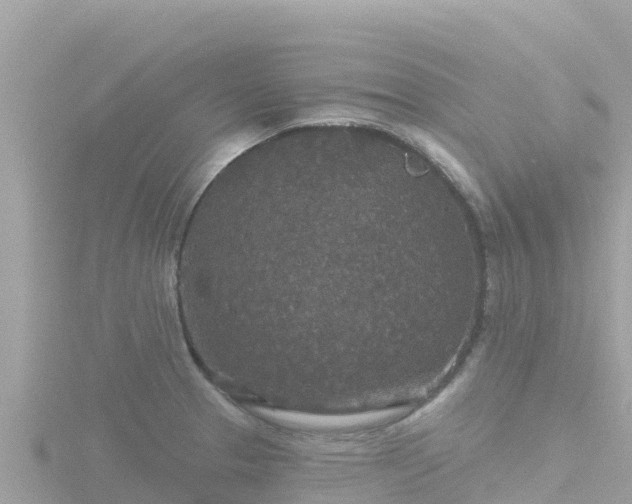 X0000116791329200912241154