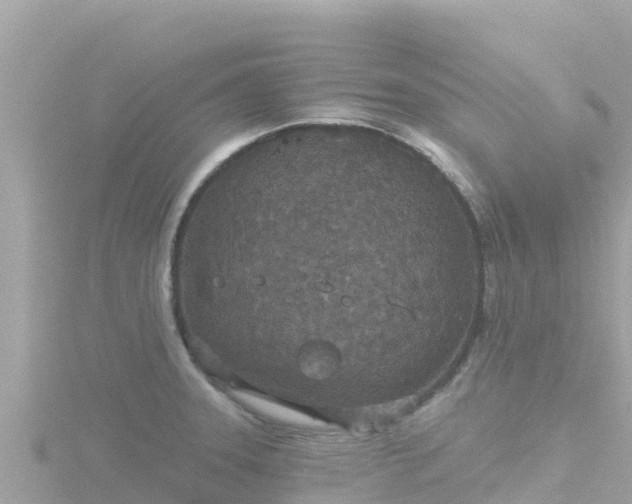 X0000116791331200912241154