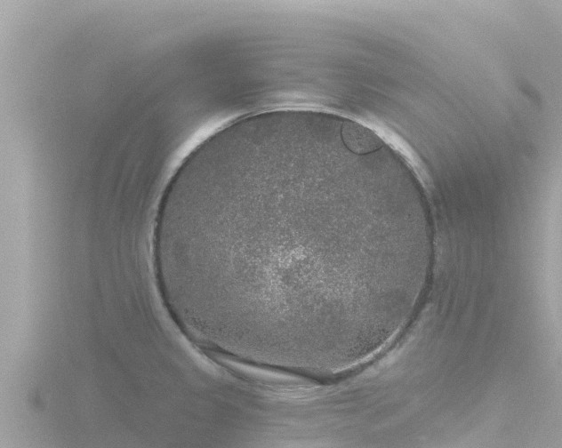 X0000116791333200912241154