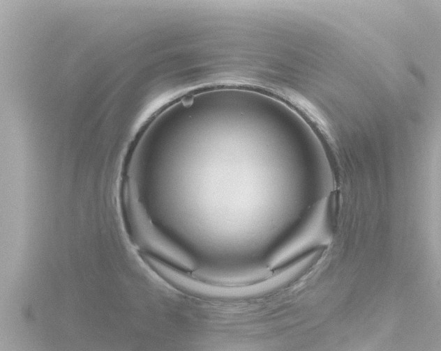 X0000116791334200912241154