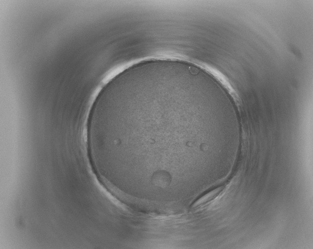 X0000116791335200912241154