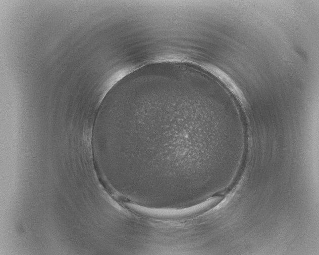 X0000116791337200912241154