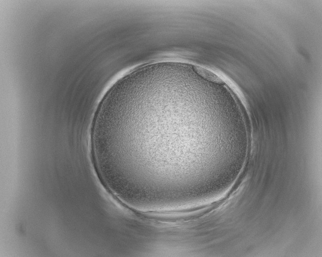 X0000116791341200912241154