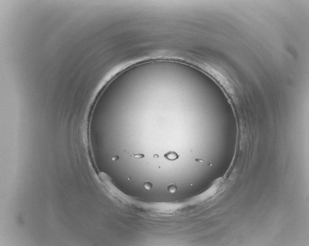 X0000116791342200912241154