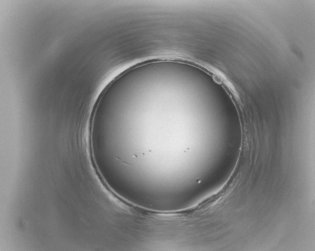 X0000116791343200912241154