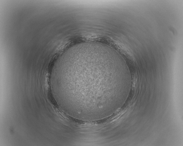 X0000116791346200912241154