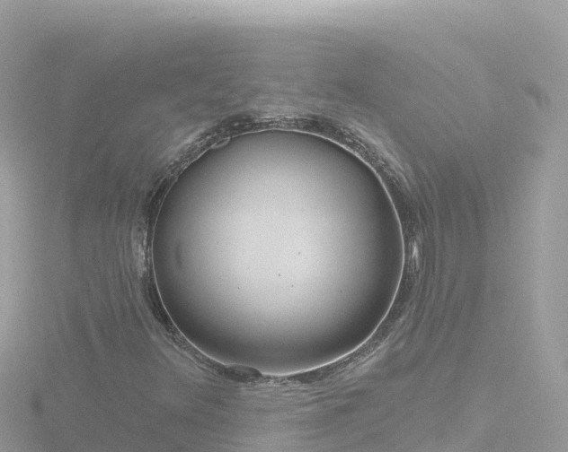 X0000116791348200912241154