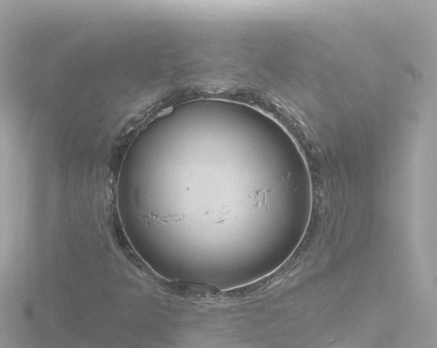 X0000116791349200912241154