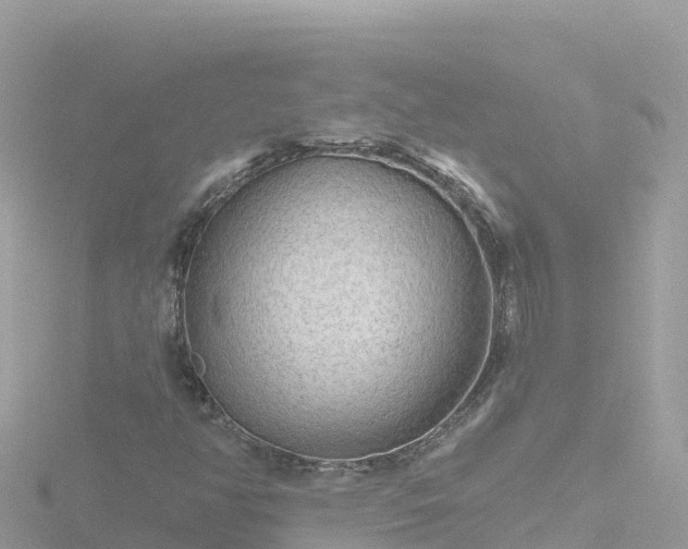 X0000116791350200912241154