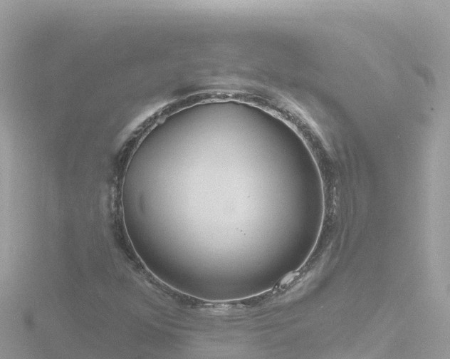 X0000116791352200912241154