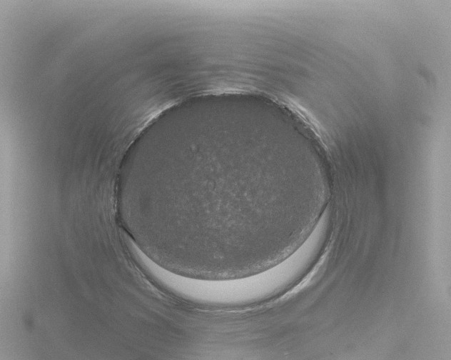 X0000116791353200912241154