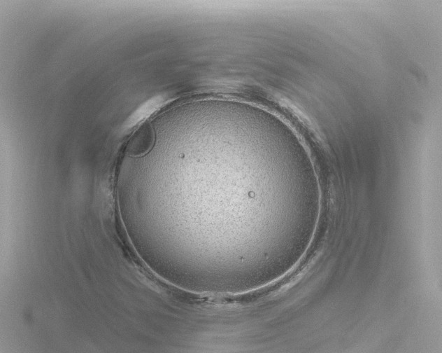 X0000116791354200912241154