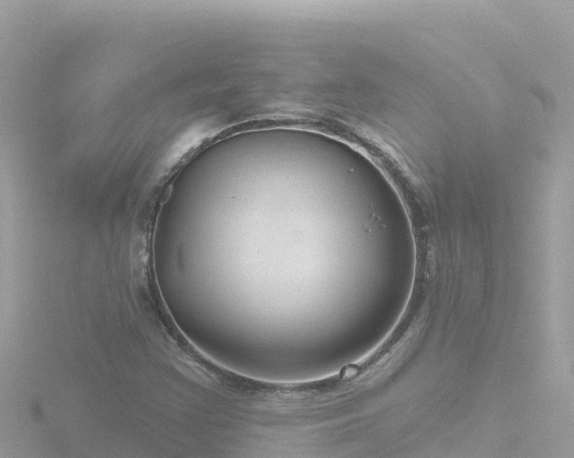 X0000116791355200912241154