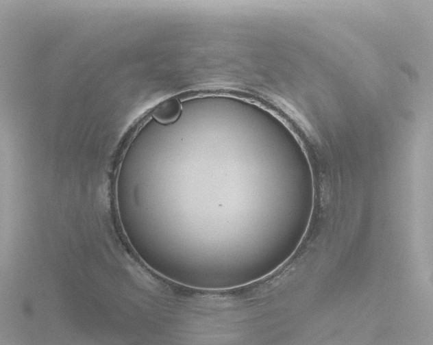 X0000116791356200912241154