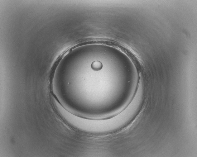 X0000116791357200912241154