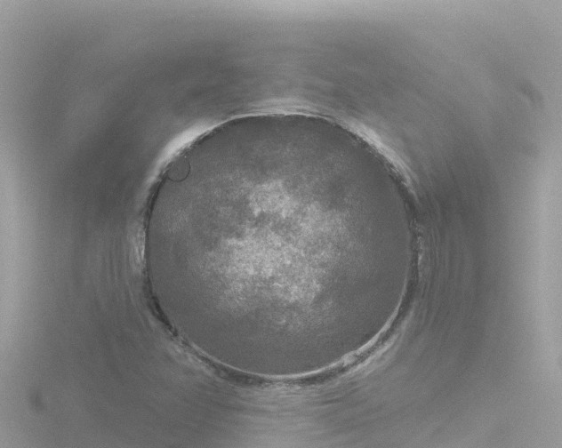 X0000116791358200912241154