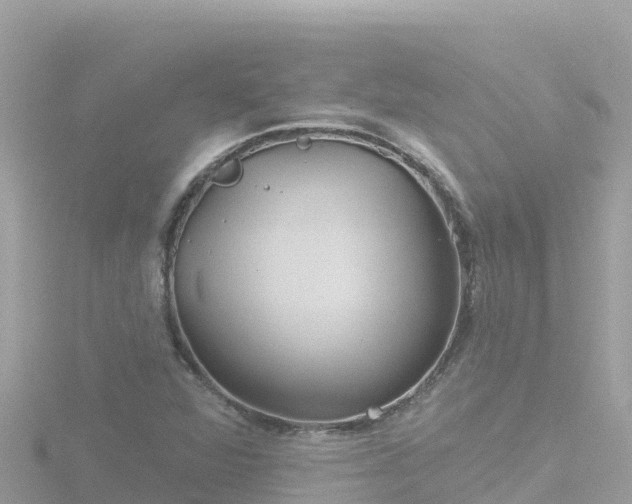 X0000116791360200912241154