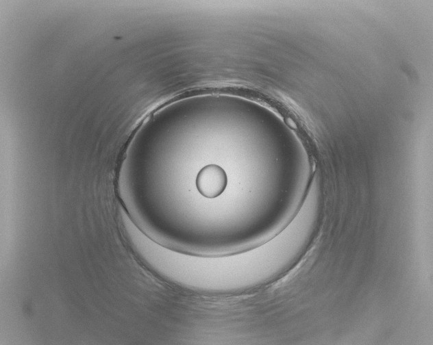 X0000116791361200912241154