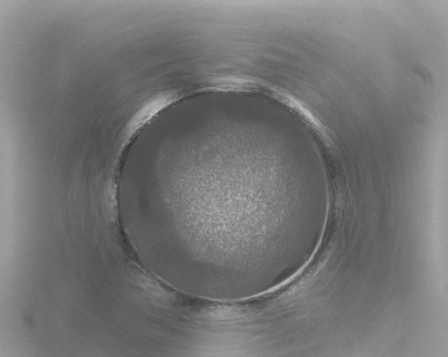 X0000116791362200912241154