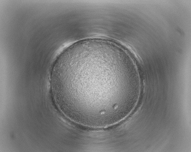 X0000116791363200912241154