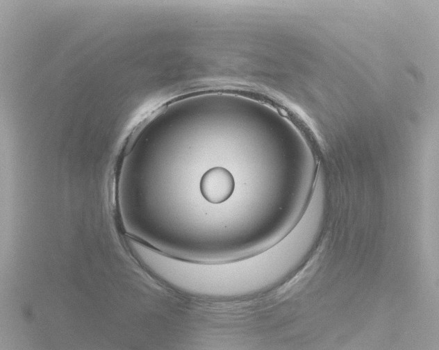 X0000116791365200912241154