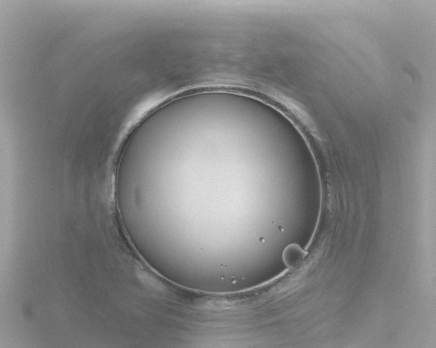 X0000116791366200912241154