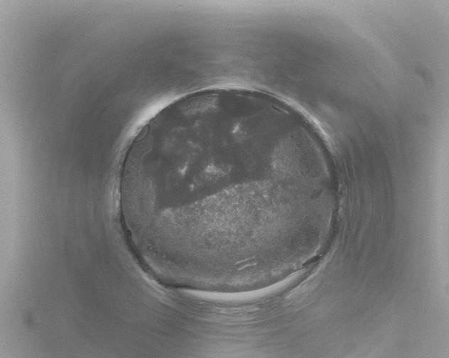 X0000116791367200912241154