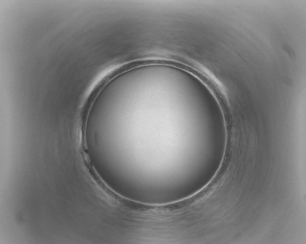 X0000116791368200912241154