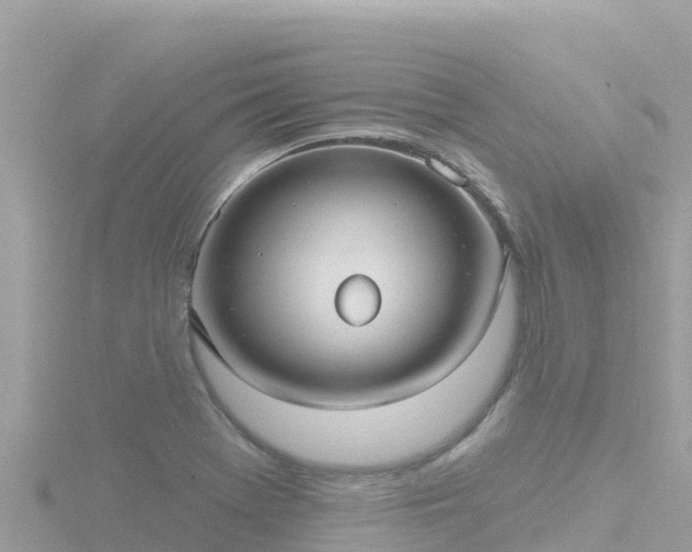 X0000116791369200912241154