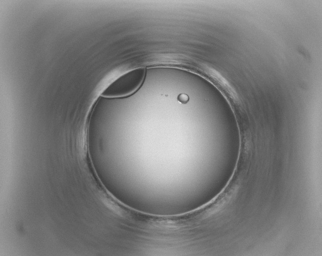 X0000116791370200912241154