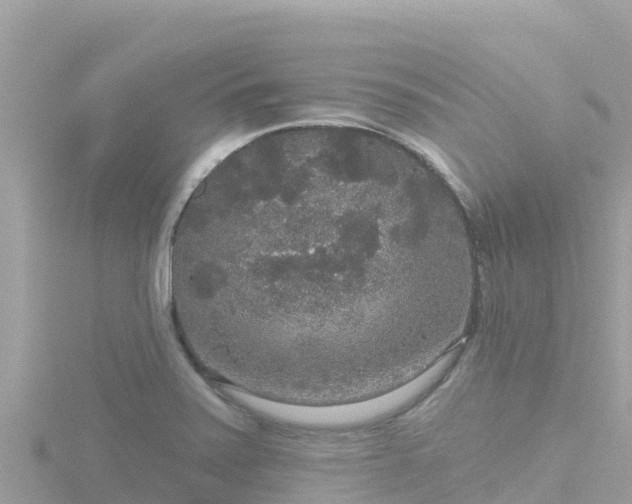 X0000116791371200912241154