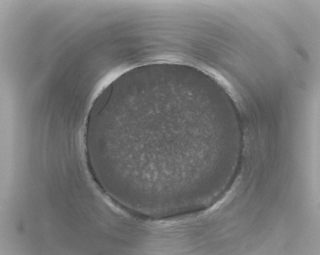 X0000116791373200912241154