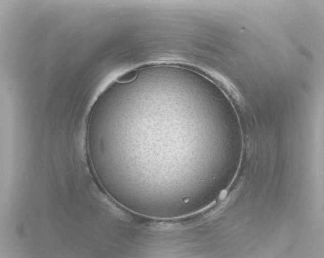 X0000116791374200912241154