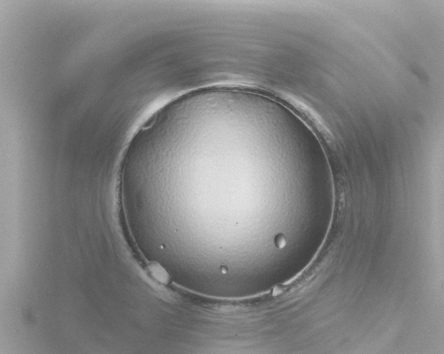 X0000116791375200912241154