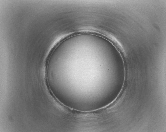 X0000116791376200912241154