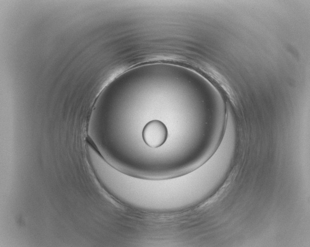 X0000116791377200912241153