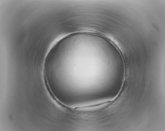 X0000116791379200912241153