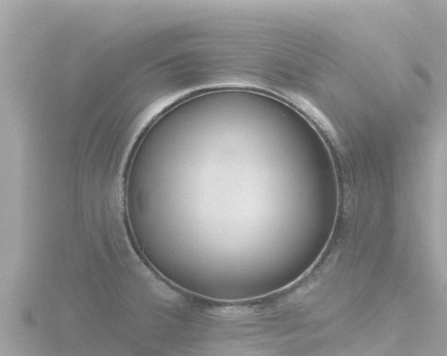 X0000116791380200912241153