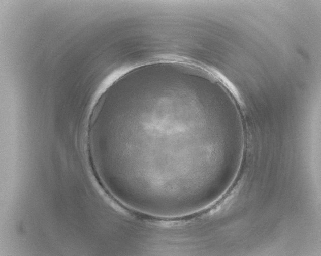 X0000116791381200912241153