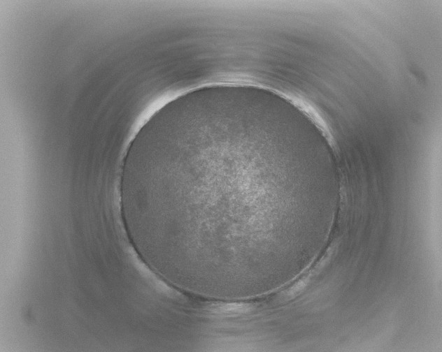 X0000116791382200912241153